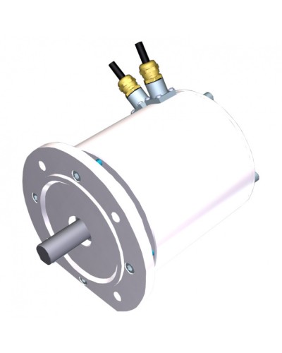 Электродвигатель FROG-MD Came 119RIA080 в Таганроге Запчасти для шлагбаумов и автоматики Pintop.ru