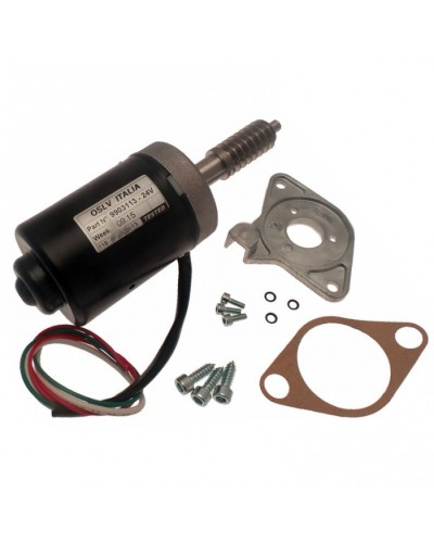 Электродвигатель BX-243 в сборе Came 119RIBX046 в Таганроге Запчасти для шлагбаумов и автоматики Pintop.ru