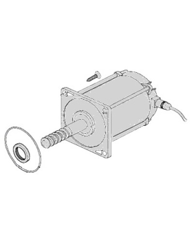 Электродвигатель Came 119RIA025 в Таганроге Запчасти для шлагбаумов и автоматики Pintop.ru
